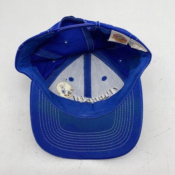 1998 Looney Tunes Tweety Bird Hat Cap Embroidered Blue Strapback Vintage - Picture 9 of 13